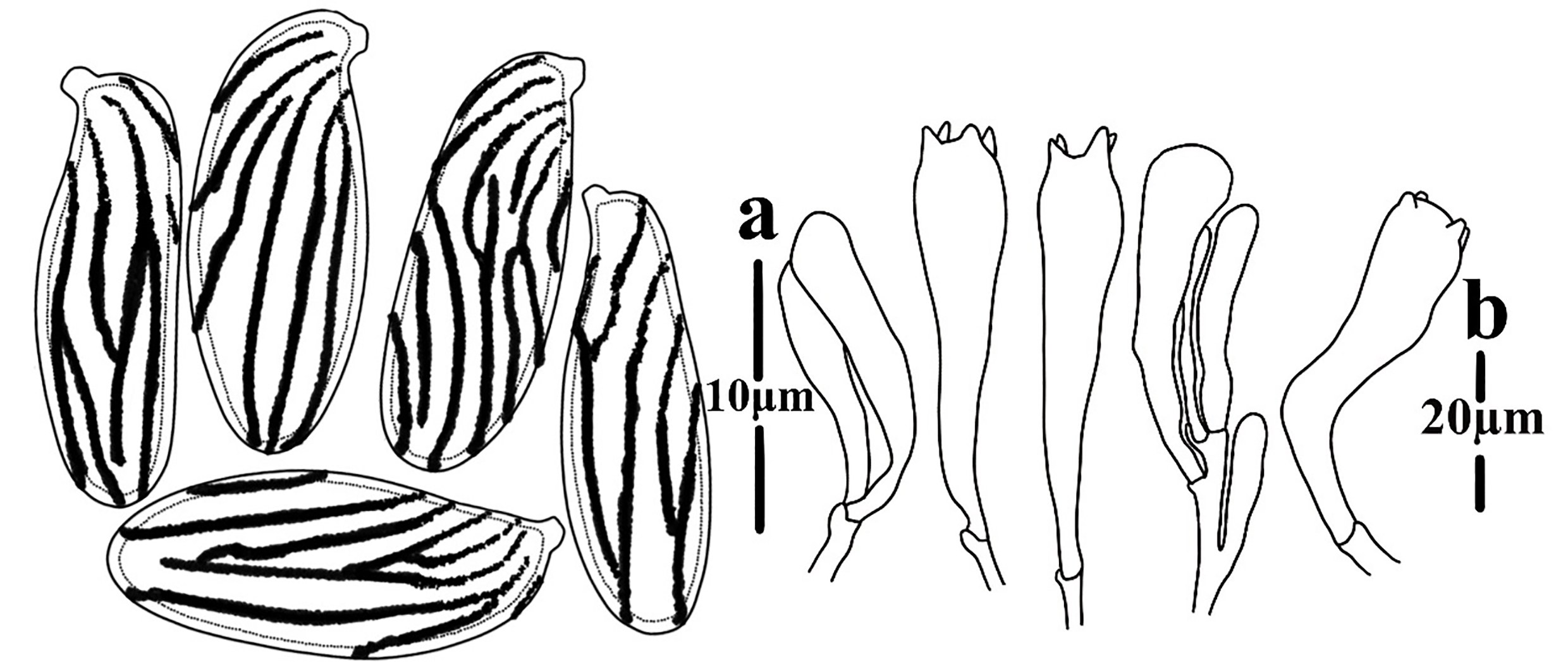 Figure 40